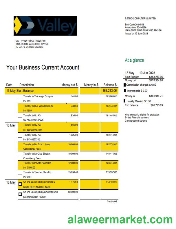 Valley National Bank business statement Word and PDF template
